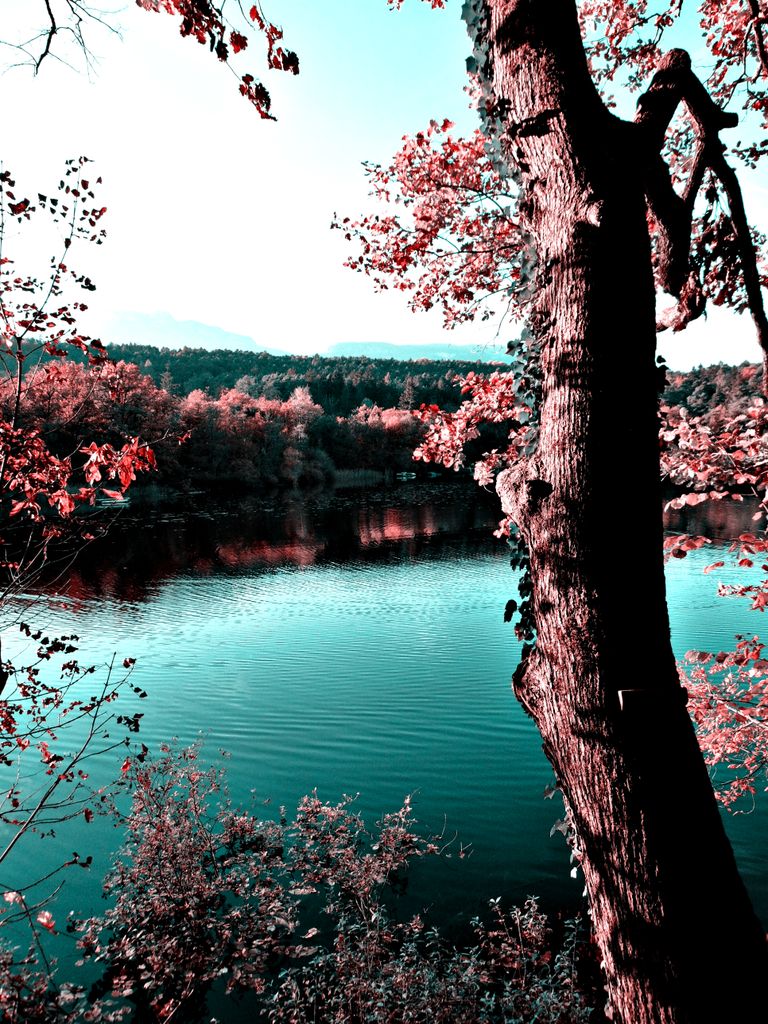 Photo №8 of Kleiner Montiggler See - Lago Piccolo di Monticolo