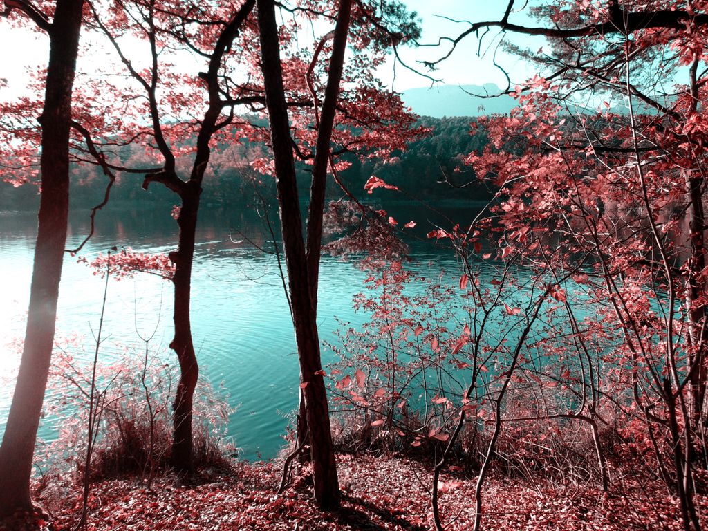 Photo №9 of Kleiner Montiggler See - Lago Piccolo di Monticolo