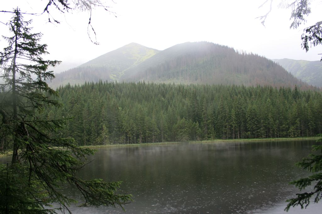 Photo №7 of Smreczyński Staw