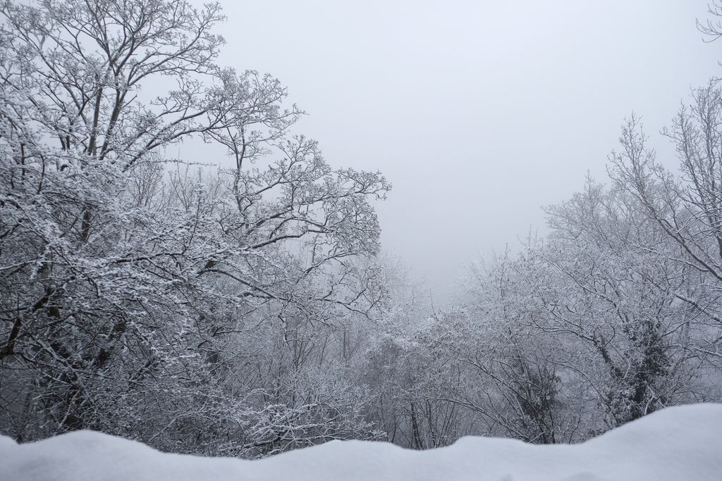 Photo №8 of Drachenfels