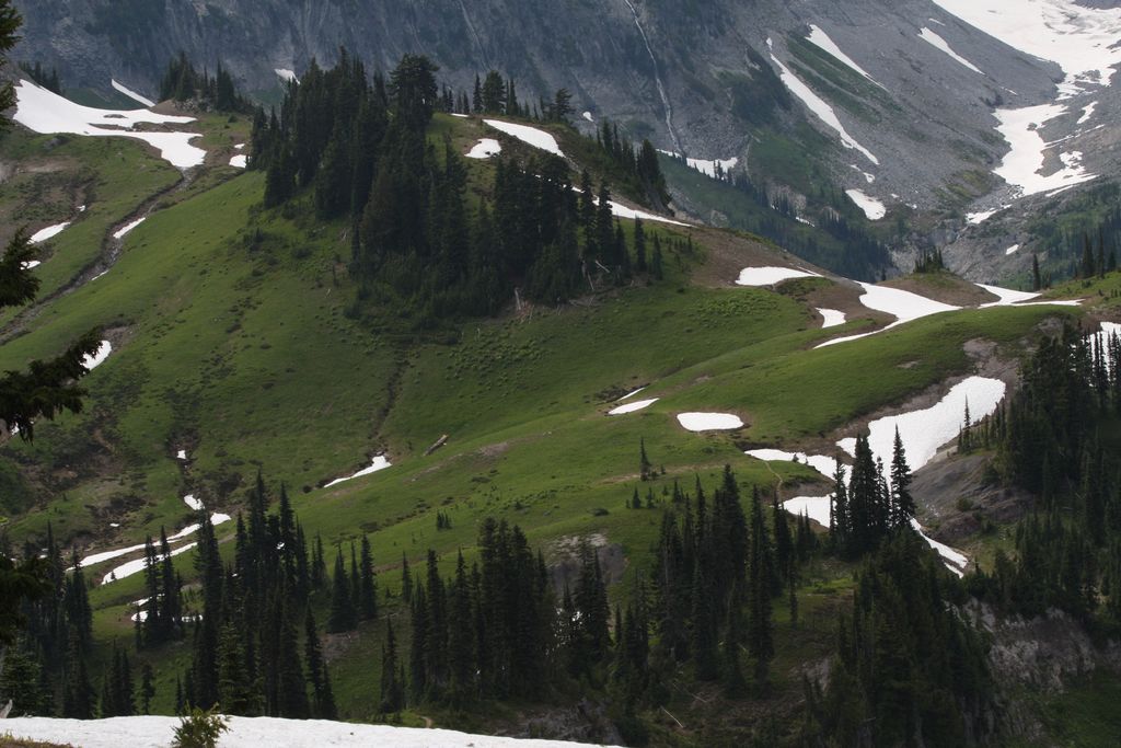 Photo №6 of Cowlitz Divide