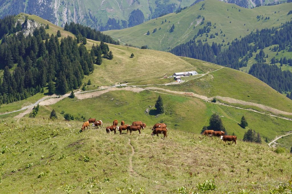 Photo №6 of Petit Sulens