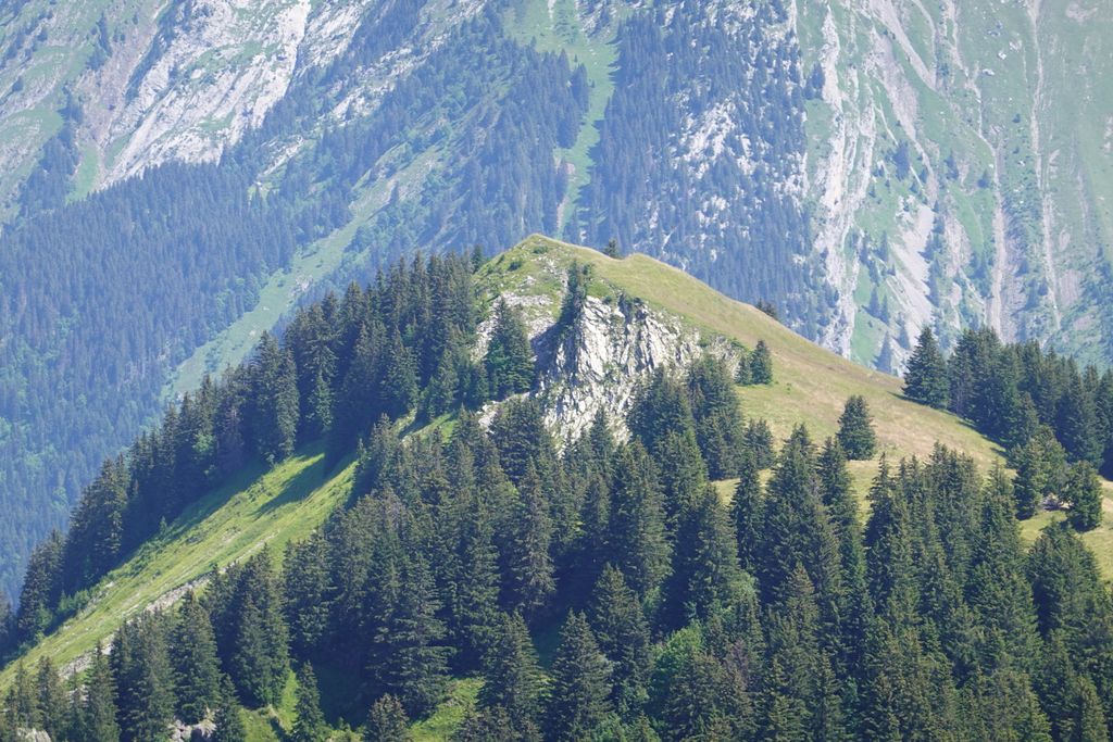 Photo №3 of Petit Sulens
