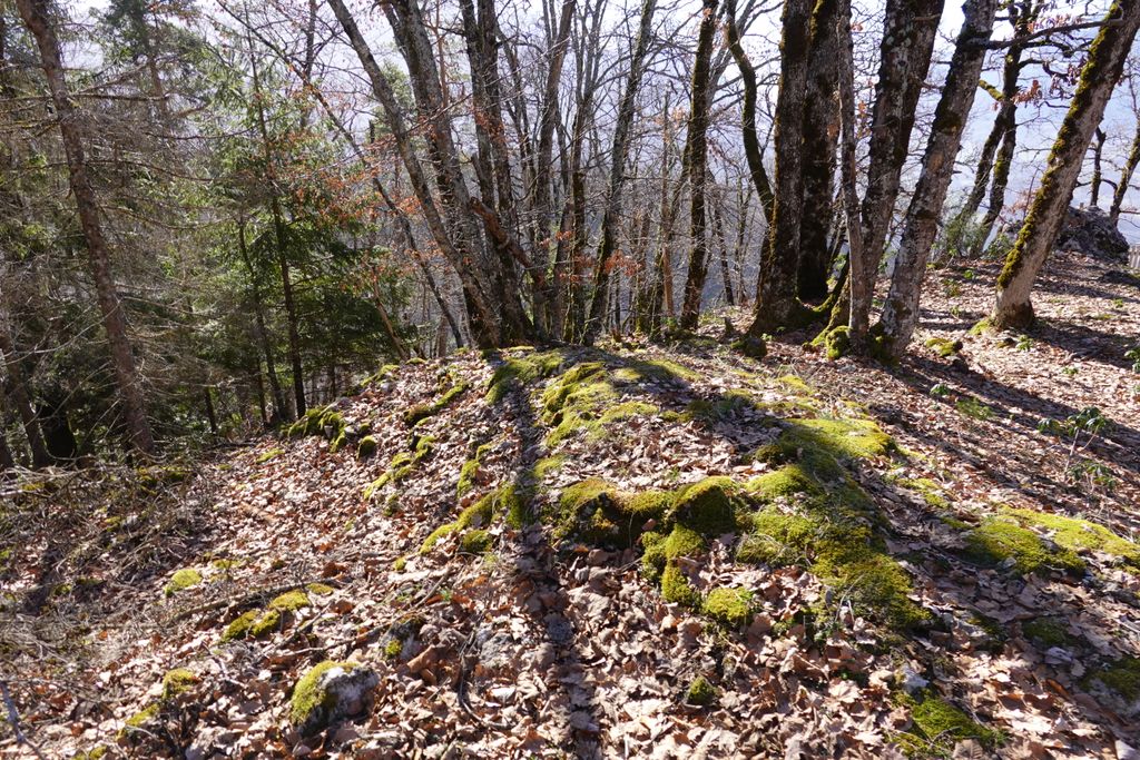 Photo №11 of Roc de Nantbellet