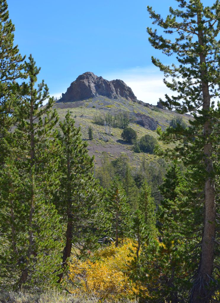 Sonora Pass