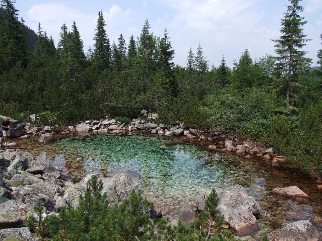 Photo №2 of Zelené pliesko