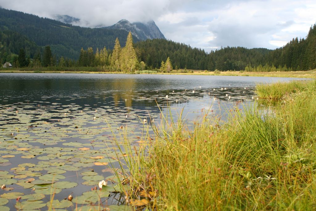 Photo №2 of Spechtensee