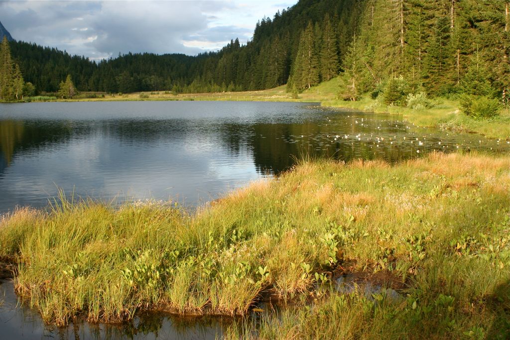 Photo №3 of Spechtensee