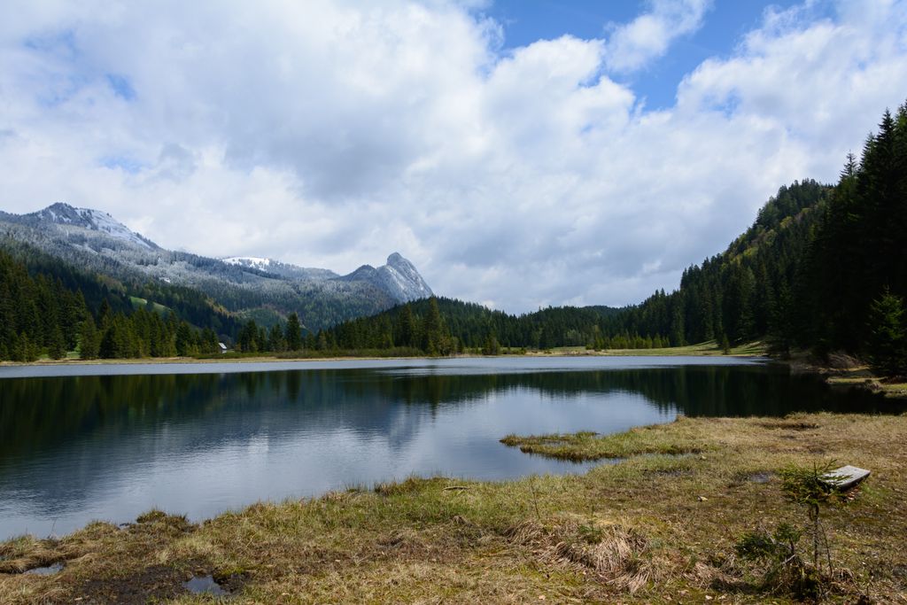 Photo №8 of Spechtensee