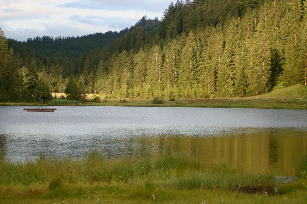 Photo №4 of Spechtensee