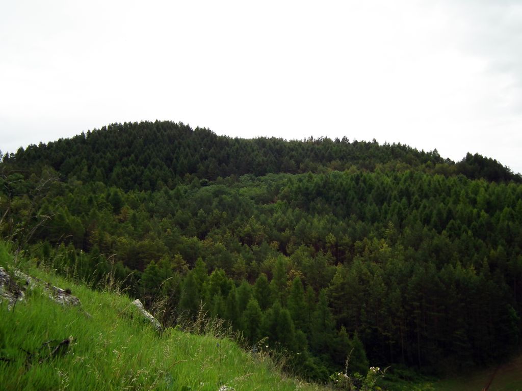 Spišský hradný vrch