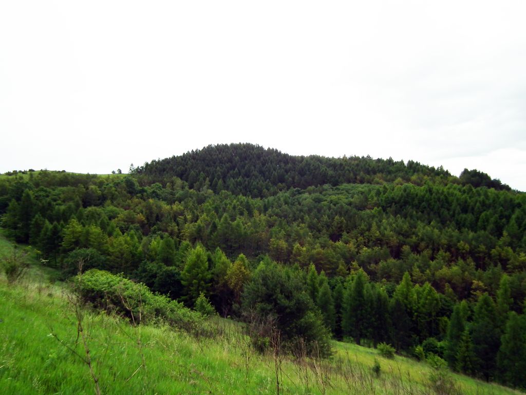 Spišský hradný vrch