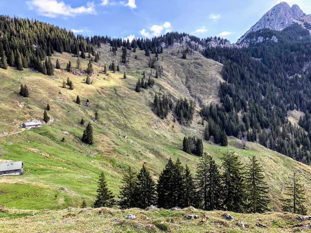 Photo №2 of Spitzingscheibe