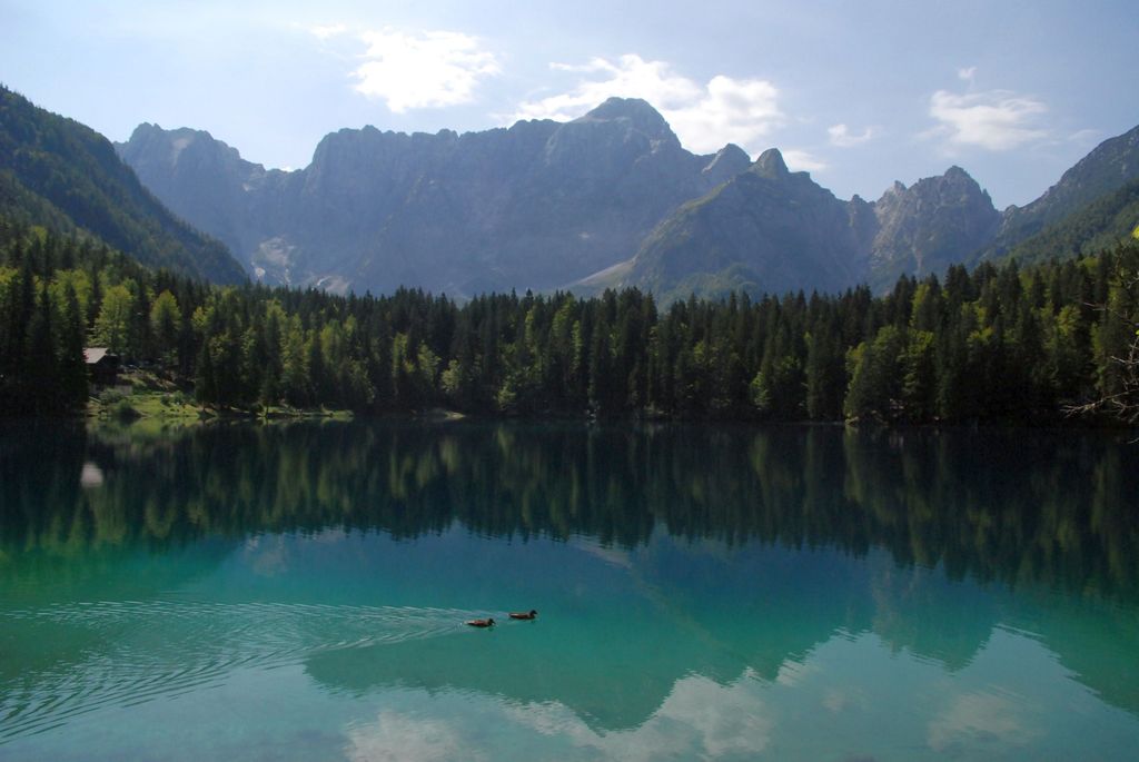 Photo №7 of Lago di Fusine inferiore / Unterer Weißenfelser See / Spodnje Belopeško jezero / Lât di Fusinis disot