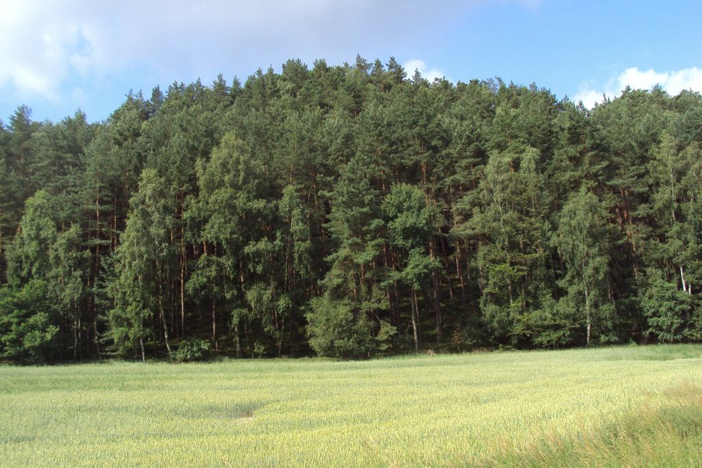 Stříbrný vrch