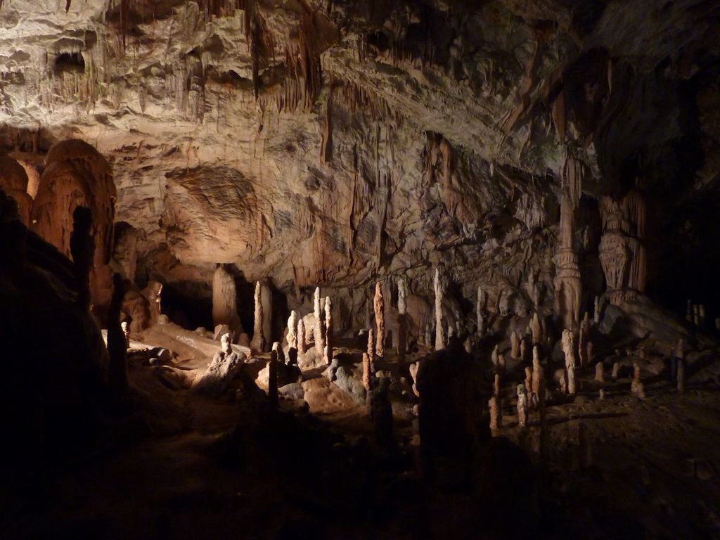 Stalactites_and_Stalagmites_at_Postojna_Caves_-_panoramio