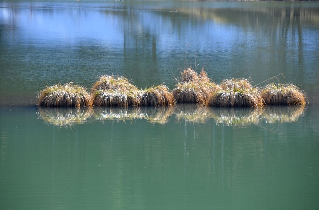Photo №5 of Oberdigisheimer Stausee