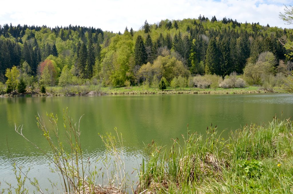 Photo №6 of Oberdigisheimer Stausee