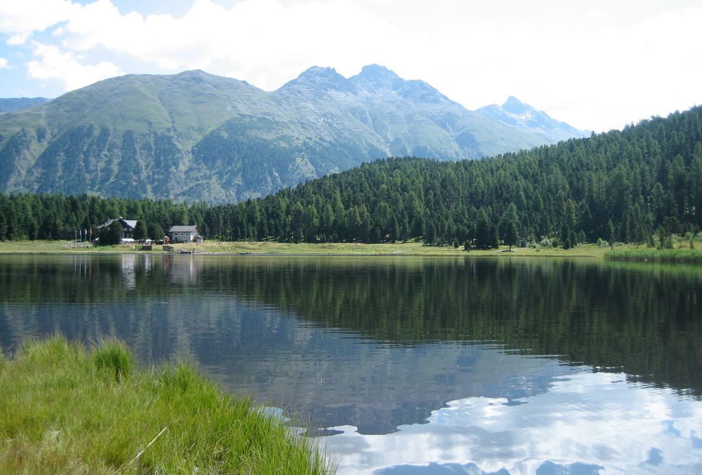 Photo №2 of Lej da Staz