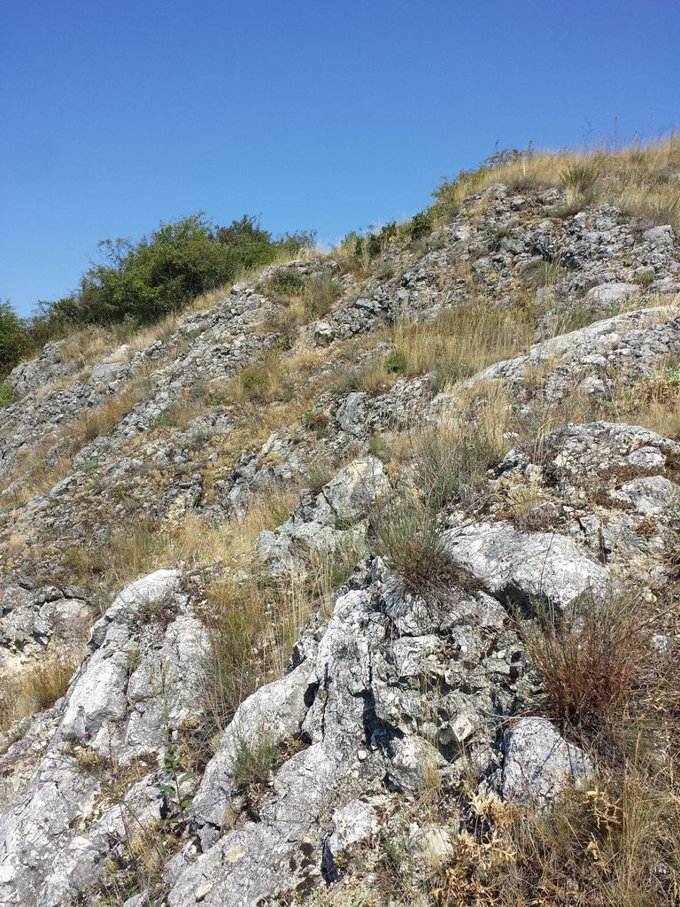 Photo №2 of Steinbruchberg