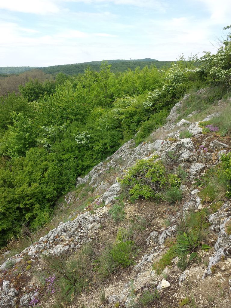 Photo №11 of Steinbruchberg