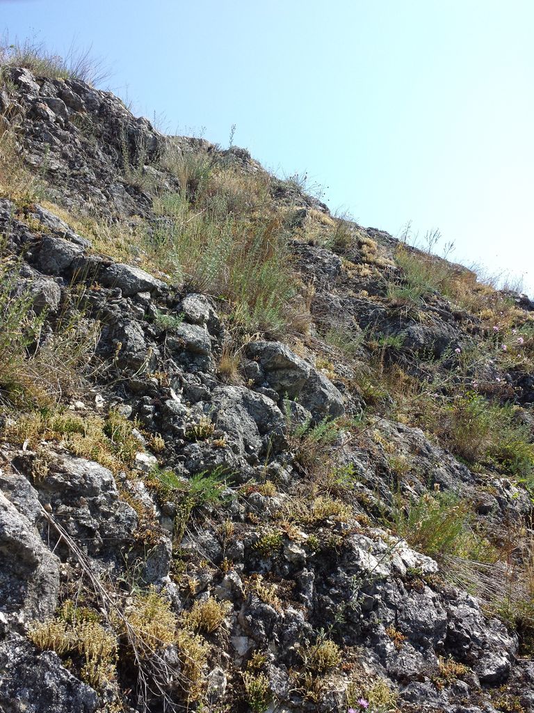 Photo №7 of Steinbruchberg