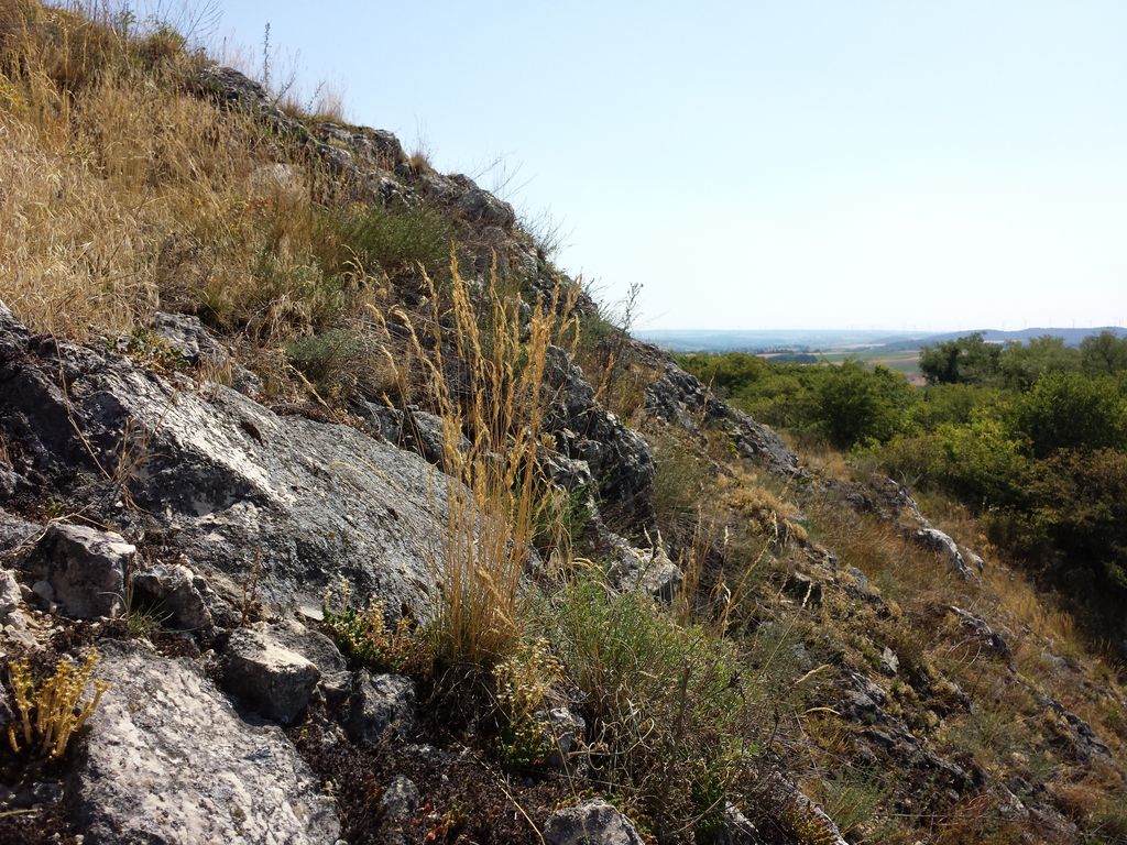 Photo №9 of Steinbruchberg