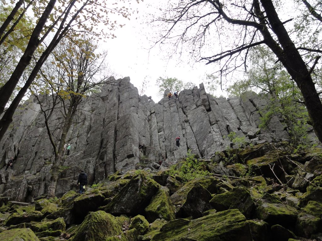 Photo №4 of Wachtküppel