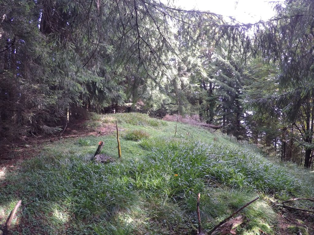 Photo №1 of Sterneck