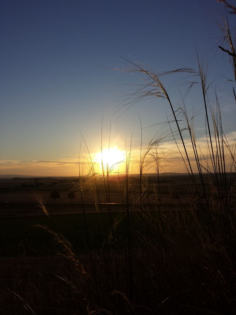 Photo №3 of Leeberg