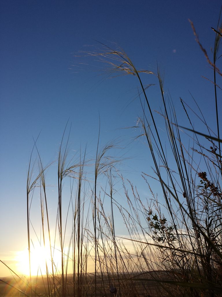 Photo №2 of Leeberg