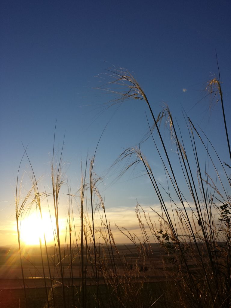 Photo №4 of Leeberg