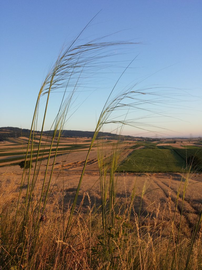 Photo №5 of Leeberg