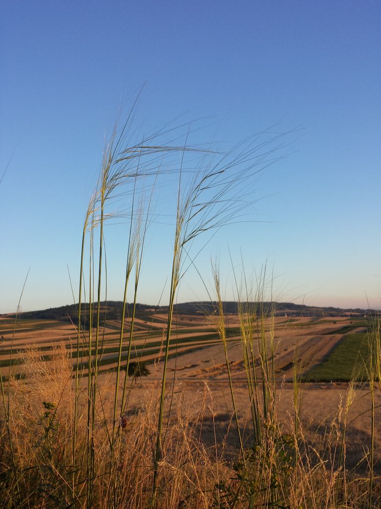 Photo №6 of Leeberg