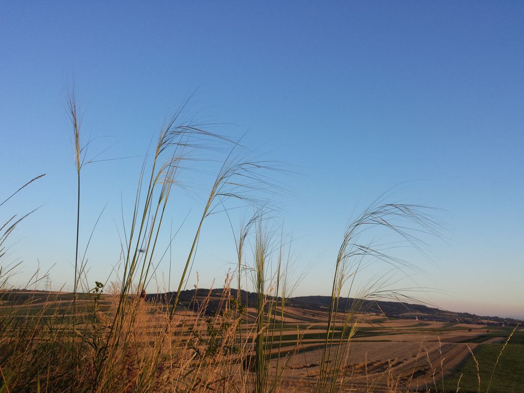 Photo №7 of Leeberg