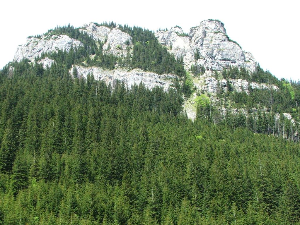 Photo №2 of Suchy Wierch