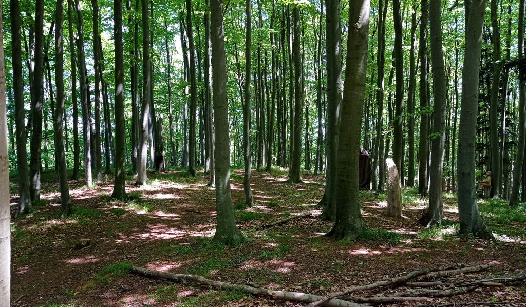 Photo №6 of Stržíšek