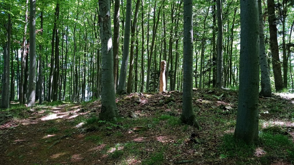 Photo №7 of Stržíšek