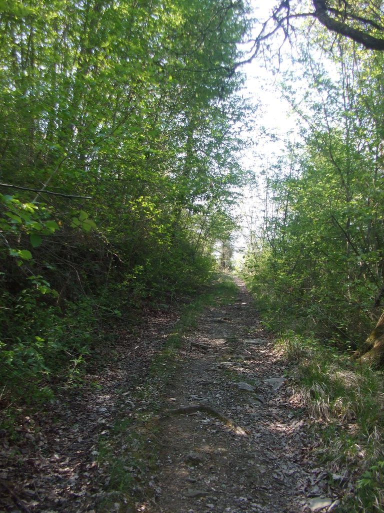 Photo №4 of La Spada nella Roccia