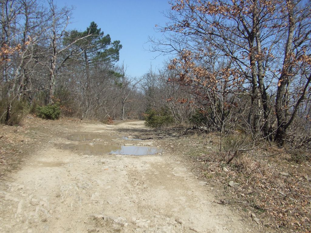 Photo №2 of Pianacci