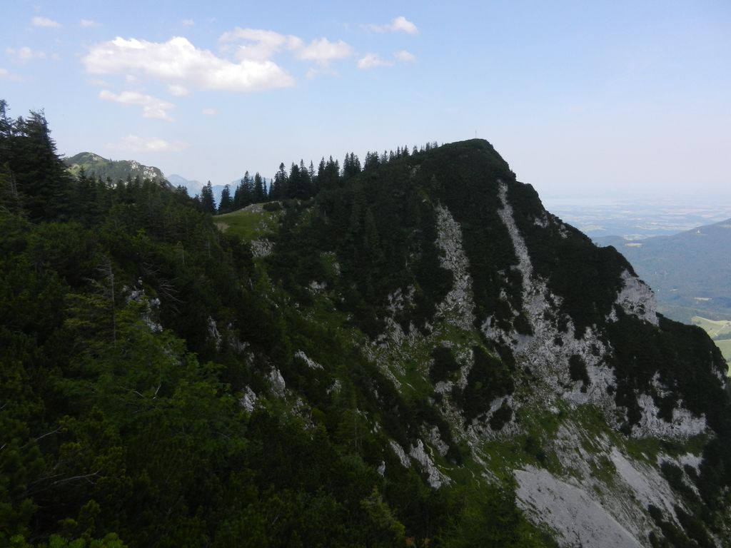 Photo №2 of Streicher
