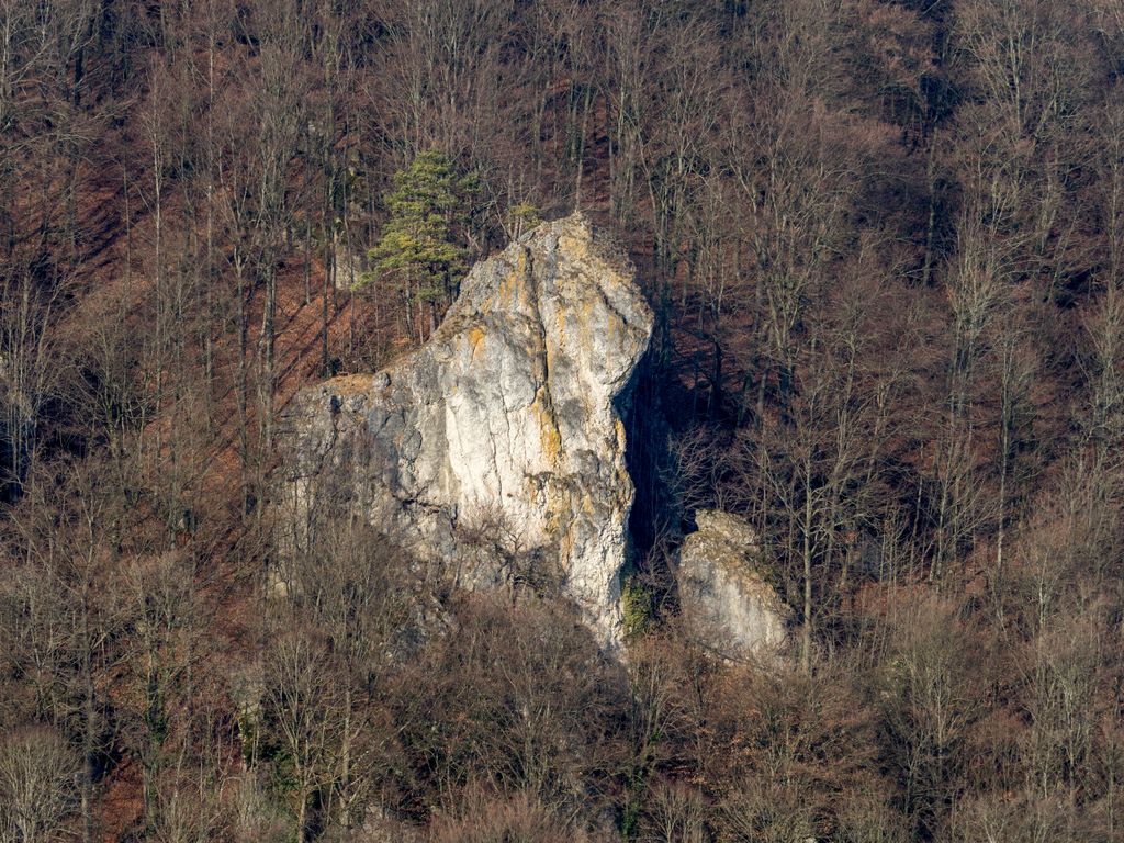 Photo №4 of Ruine Neideck