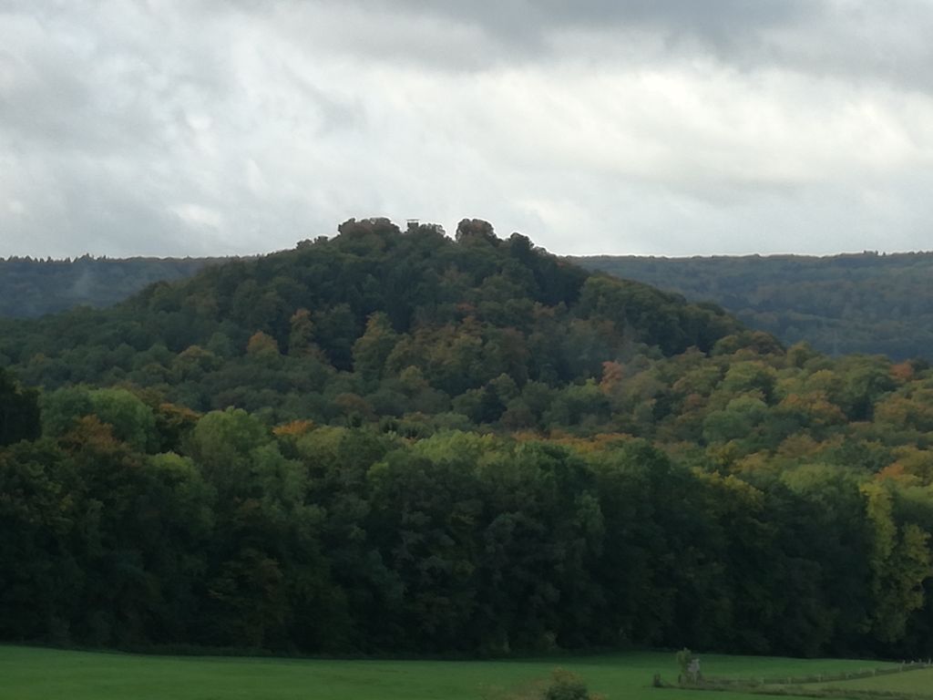 Photo №5 of Streuflingskopf