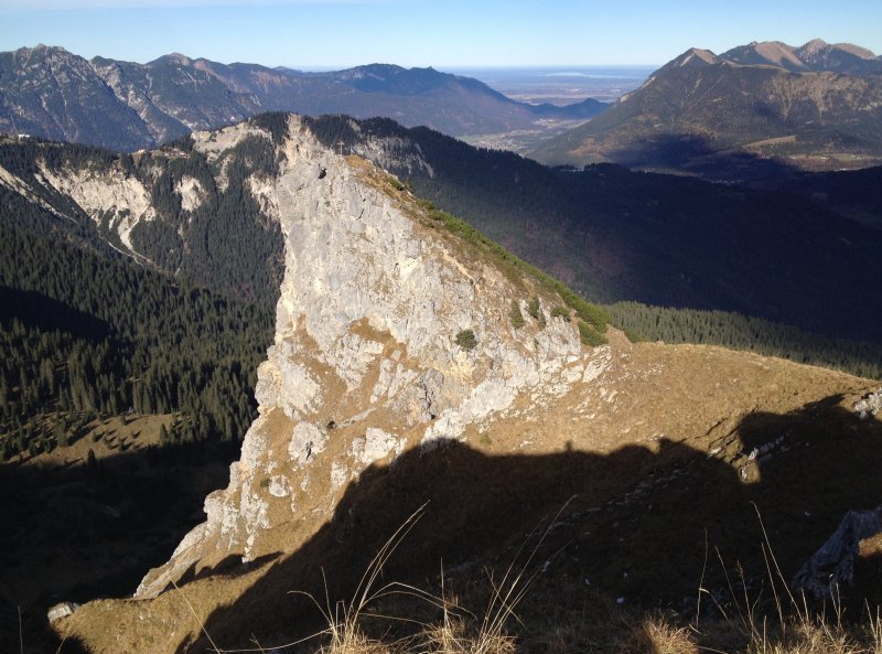 Mauerschartenkopf