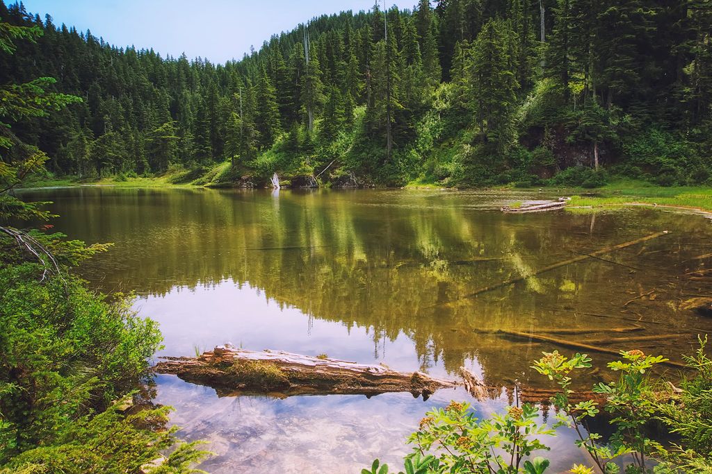 Twin Lake