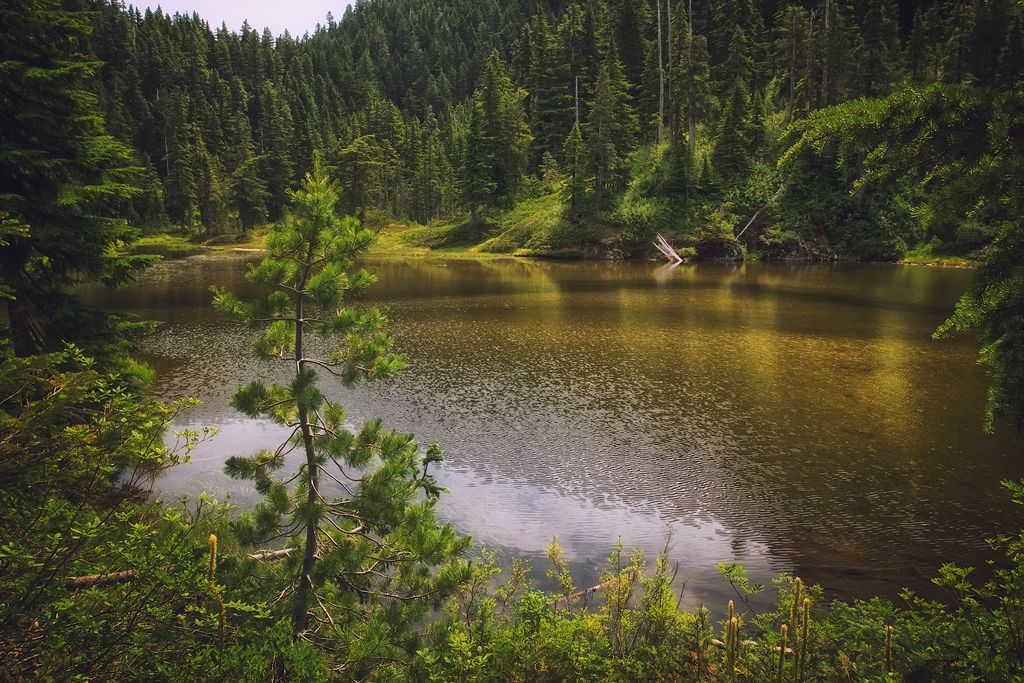 Twin Lake