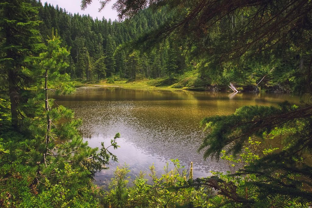 Twin Lake