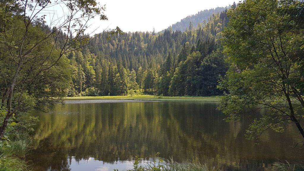 Photo №3 of Suttensee