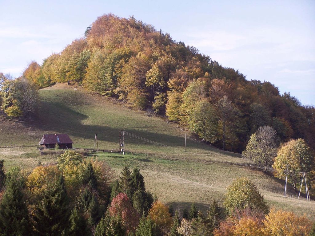 Photo №1 of Homole