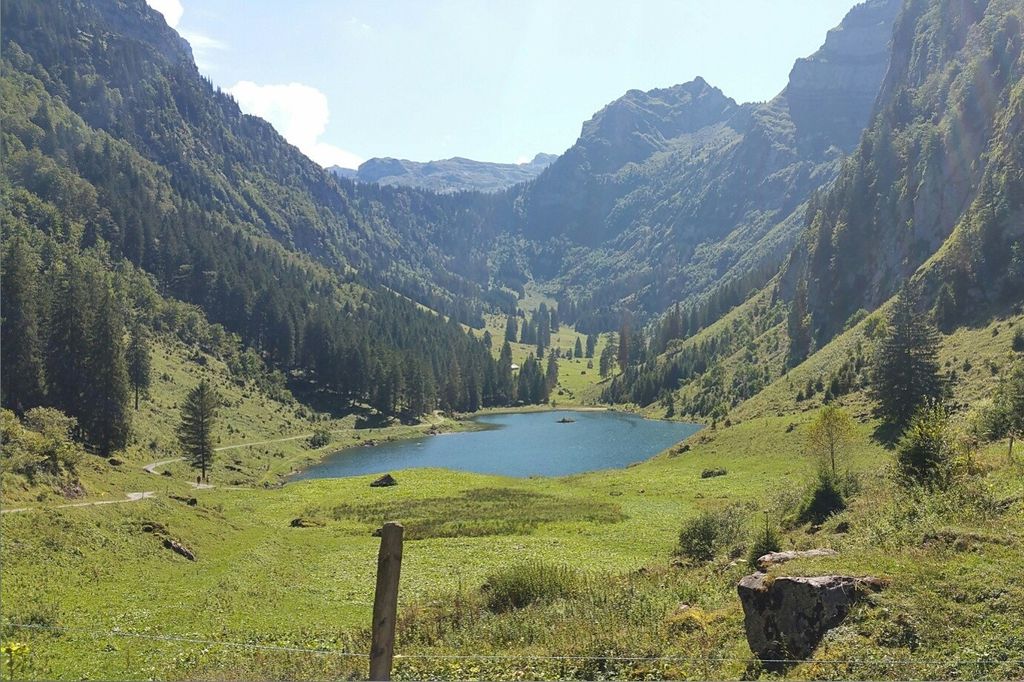 Photo №5 of Talalpsee